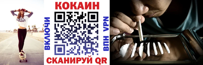 COCAIN Fish Scale  купить закладку  мега зеркало  Чегем 