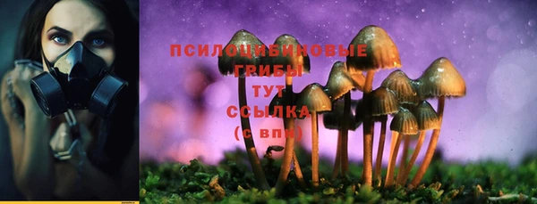 шишки Алзамай